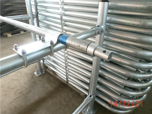 Cow Comfortable Barn Cattle Farm Equipment Cow Free Stall