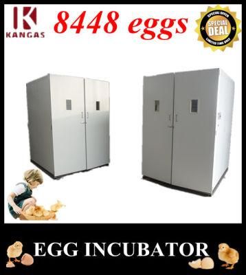 Best Poultry Egg Incubators Prices