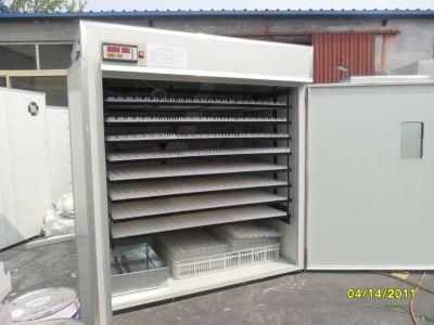 Automatic Quail Incubator