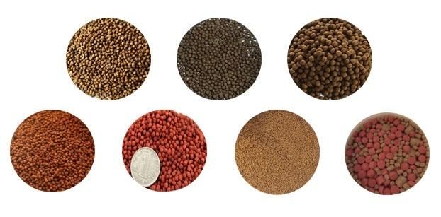 Tilapia Carp Catfish Rainbow Fish Feed Floating Food Pellet Extruder Machine Plant