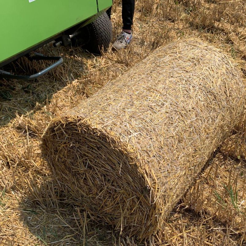 Large Capacity Grass Bundling Machine Round Silage Hay Baler