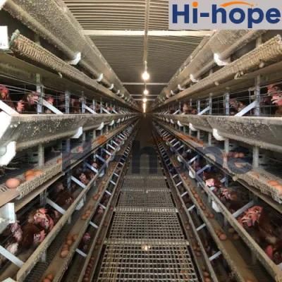 Poultry Farm Layer Cage System in Africa