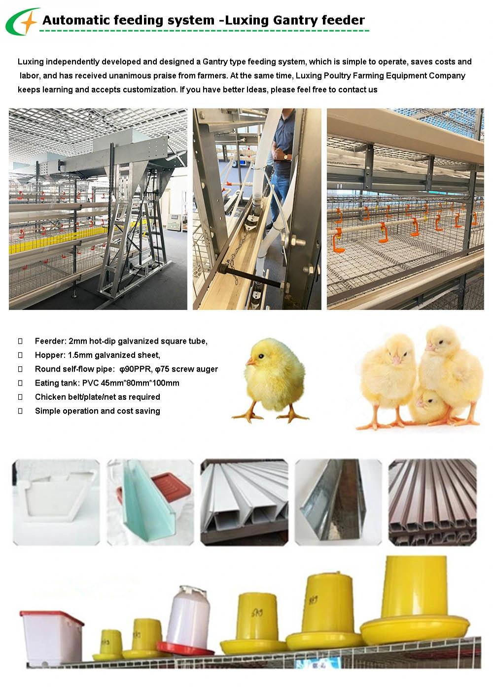 3 Tiers H Type Animal Cages Broiler Poultry Cage for Chicken Farm