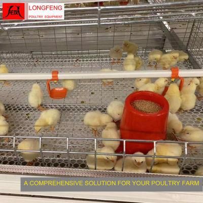 Professional Longfeng Standard Packing 1250*800mm China Broiler Chicken Cage with Factory Price