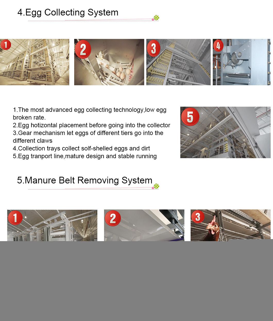 H Type Layer Chicken Battery Cage for Poultry Farming Equipment in Chicken Coop