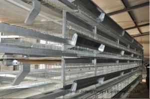 Jinfneg H Type Automatic Chicken Cage System Poultry Farm