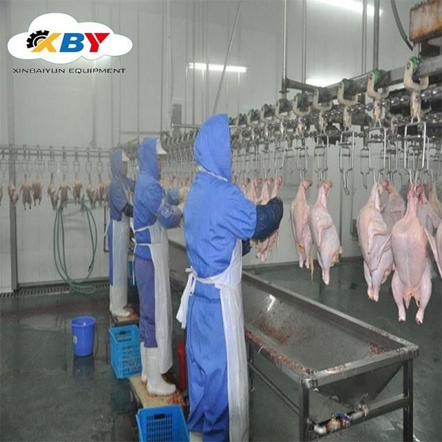 Chicken Abattoir Quail Farming Poultry Scalding Machine