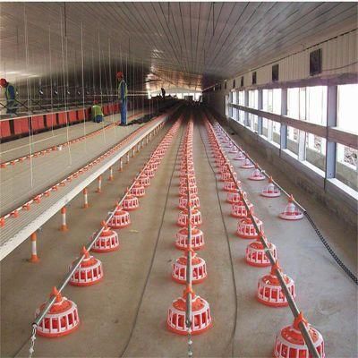 Automatic Poultry Farm Chicken Breeder Chain Feeding System Equipment