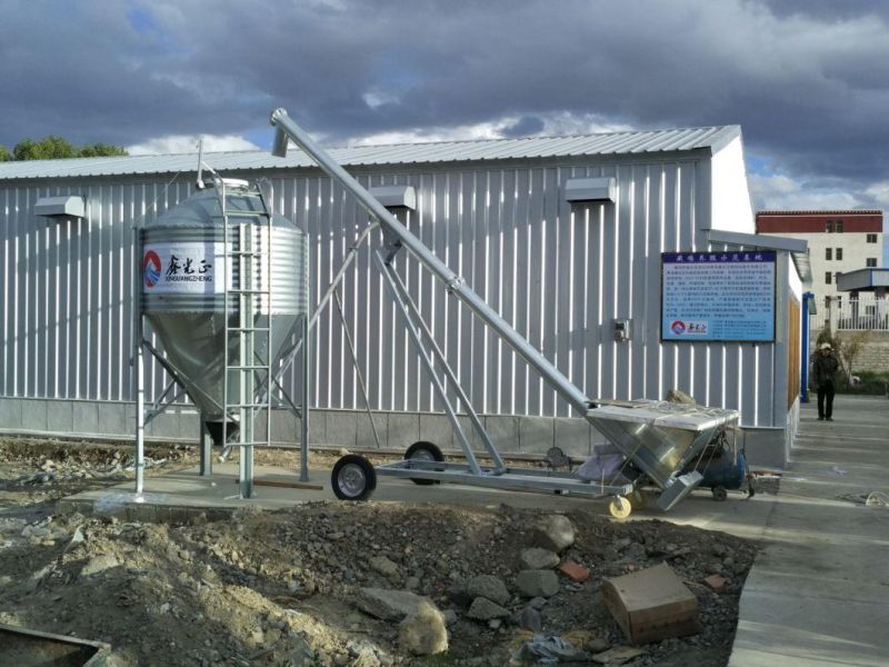 Modern Layer Chicken Equipment