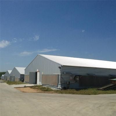 Easily Built Prefab New Type Hot Sale Chicken Coop Equipment