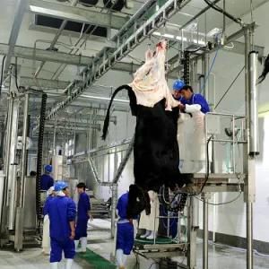 Slaughter Processing for Sheep Abattoir with Meat Cutting Line
