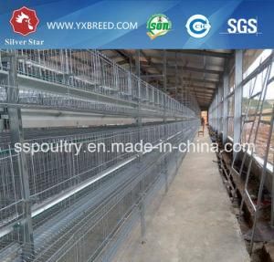 Chicken Cage for Layer Chickens