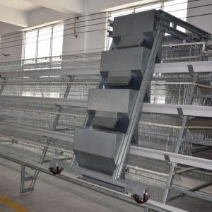 Chicken Cage/Chicken Cage Factory Design Layer Cage for Chicken Far