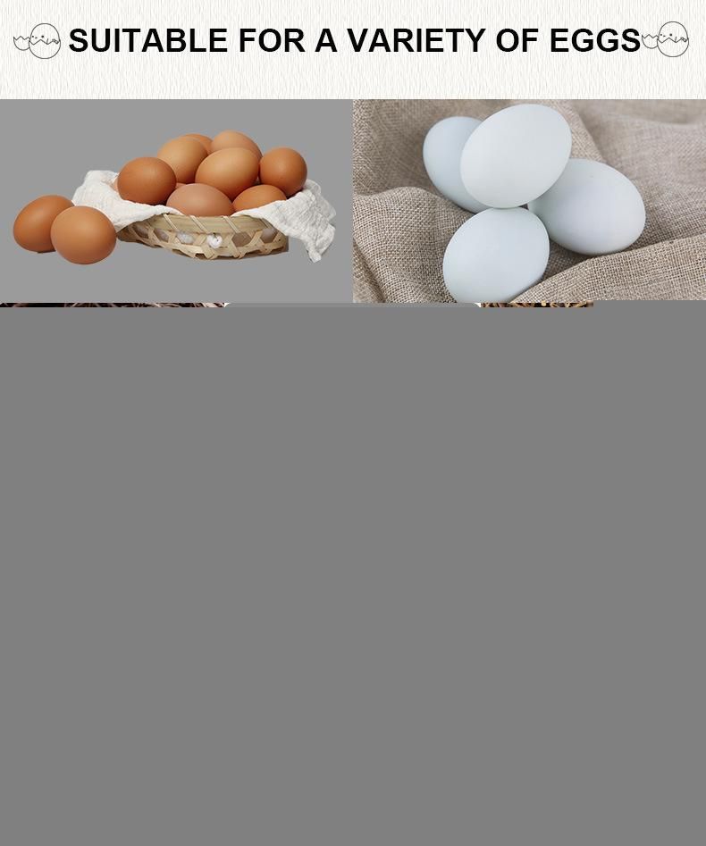 Hhd New Arraival Mini 36 Chicken Egg Incubator Ew-36