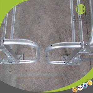 2017 Pig Farming Use Hot Galvanized Gestation Stall Sow Stall
