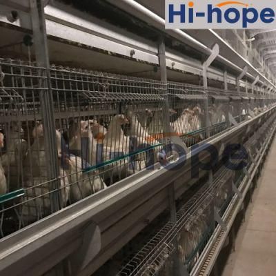 Automatic Modern Designed Poultry Control Barn Shed Equipment