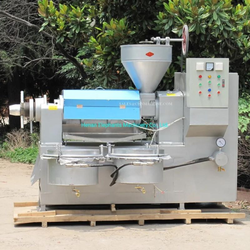 6yl-120ca Oil Press Machine, Real Factory Actual Pictures