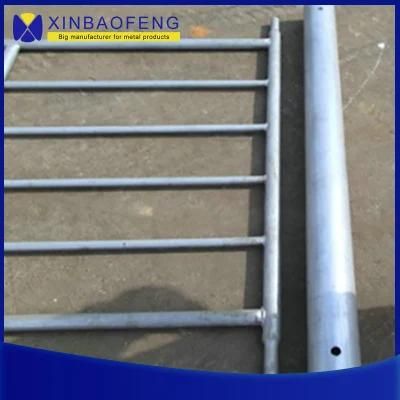 High Tensile Goat/Sheep/Deer Fence Galvanized Wire Cattle Mesh Field Fence