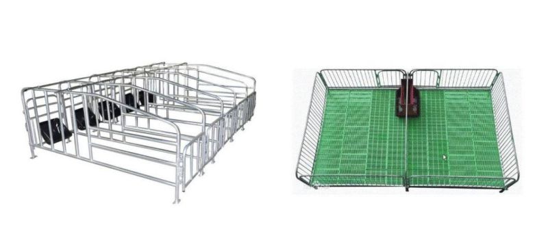 Modern Agricultural Pig Farm Sow Farrowing Pen Crate Livestock Machinery with Galvanized Cages