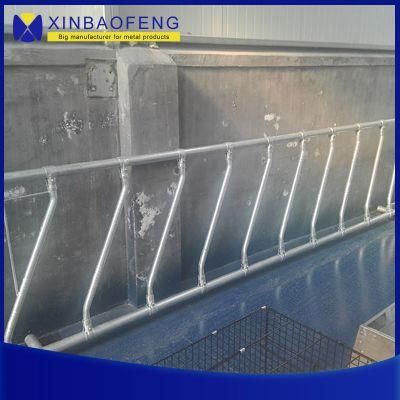 Hot DIP Galvanized Safety Cow/Cattle Feeding Free Stall