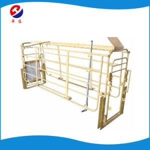 Factory High Quality Sow / Pig / Hog Hot DIP Galvanized Gestation Stall Used in Pig Farm Equipment