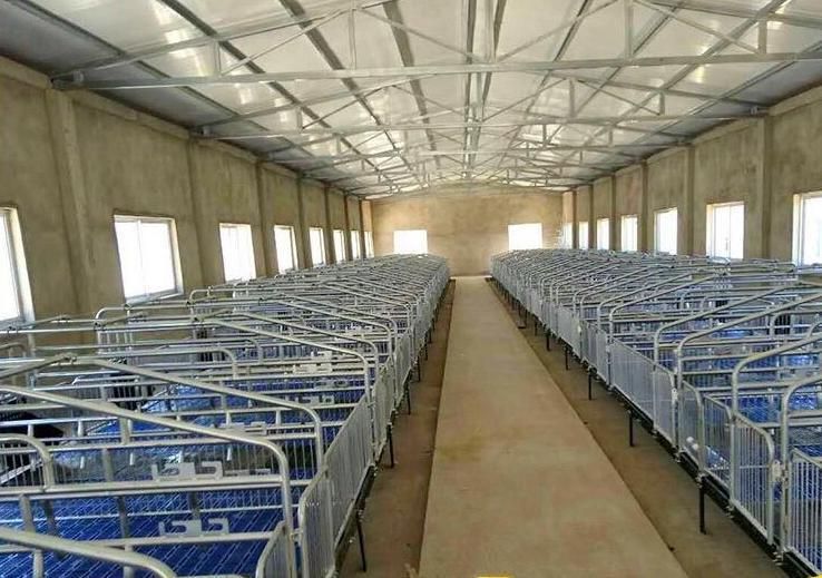 Swine Farm Pig Cage Equipment Breeding Stalls of Galvanized Sow Farrowing Crate