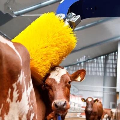 Livestock Cow Body Brush and Cleaning Machine, Cattle Using Body Brush