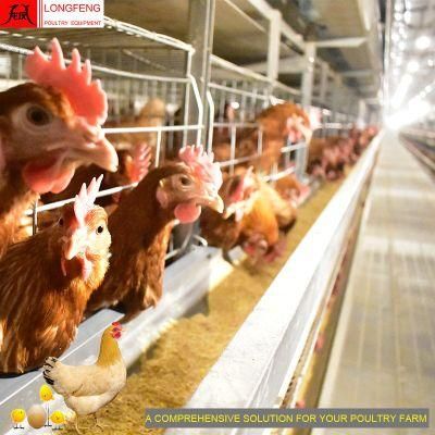 Manufacture Longfeng Farming China Feeding Farms Farm Layer Cages Poultry Equipment 9LCD-4128
