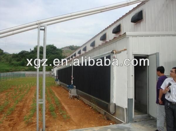 Prefabricated Steel Structure House and Equipment for Broiler & Layer of Polutry Shed (BYPH-002)