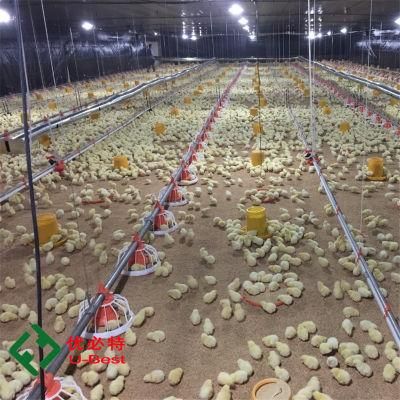 Chicken Feeding Usage Automatic Broiler Poultry Farming Equipment