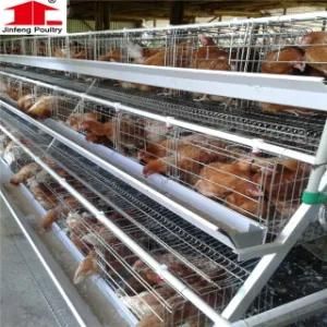 Chicken Egg Poultry Farm Wholesale Bird Cages Automatic Chicken Layer Cage for Philippines