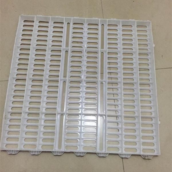 Plastic Flooring for Poultry Farming Used Plastic Floors for Pigs Sale