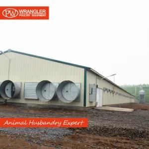 Pw Design Modern Automatic Chicken Poultry Farm in China