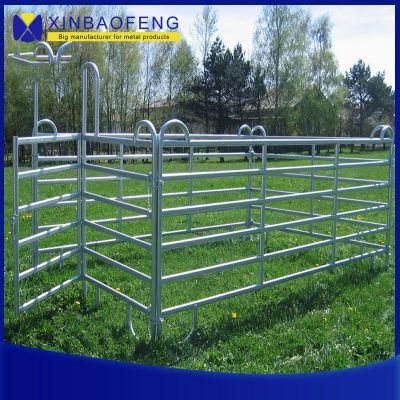 Factory Direct Sale of Heavy-Duty Galvanized Pipe Sheep Fence for Farms