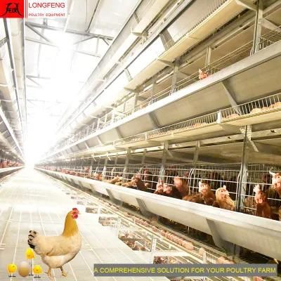 Good Service Computerized Farm Farms Egg Layer Battery Chicken Cage Poultry Equipment
