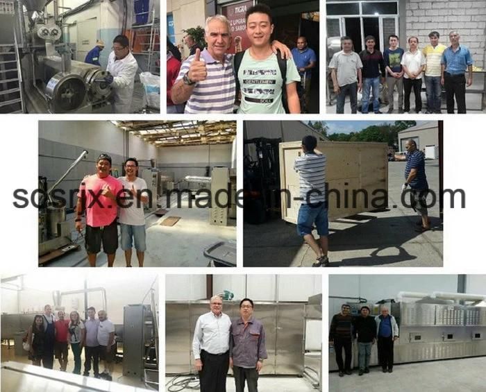 Grains Basing Puffed Floating Fish Feed Extrusion Production Line