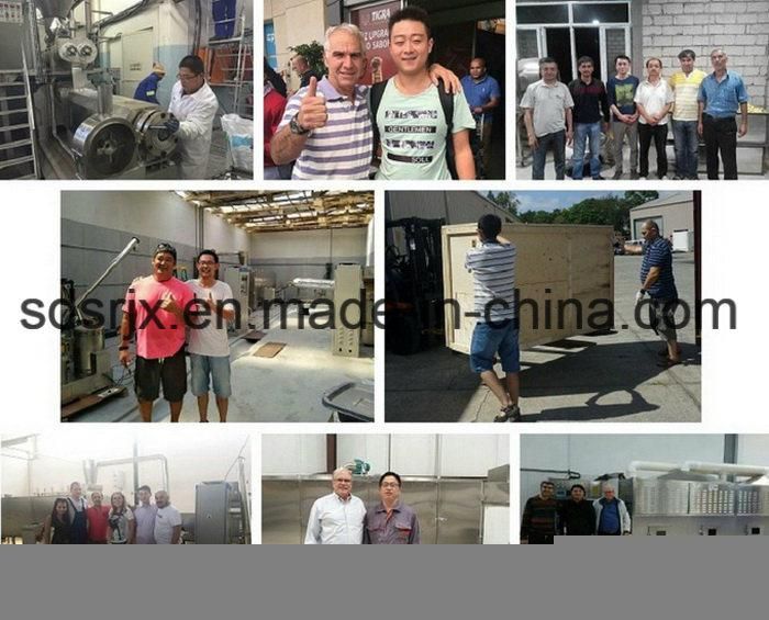 Jinan Food Machinery Soybean Animal Feed Mill Machine