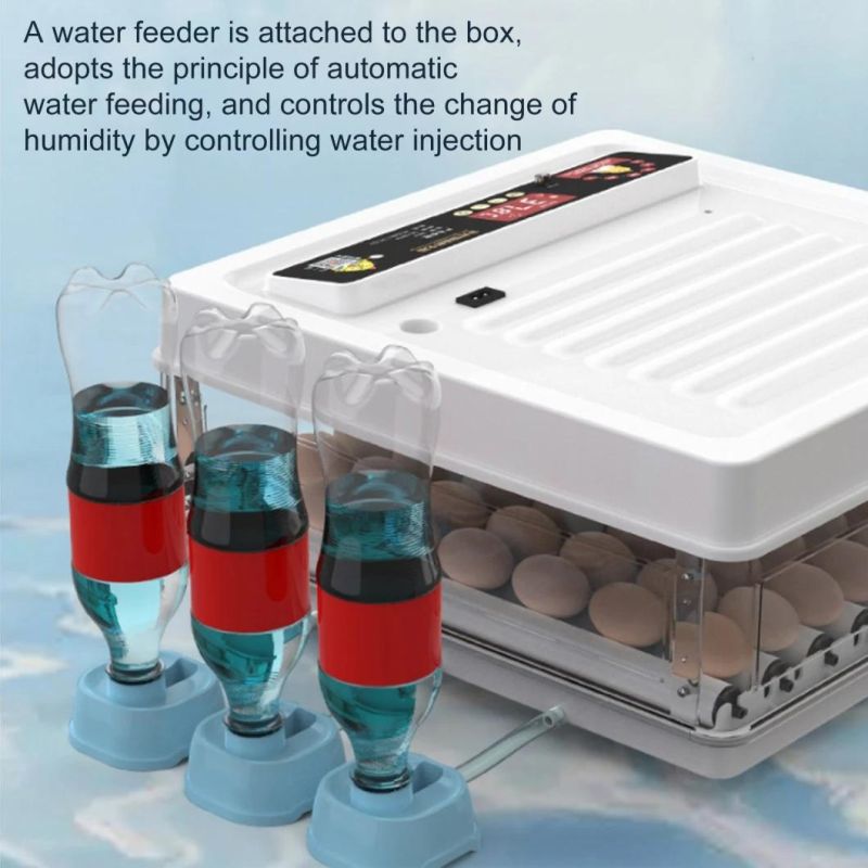 Hottest Selling CE Approved Automatic Mini Chicken Egg Incubator Solar Egg Hatching Machine
