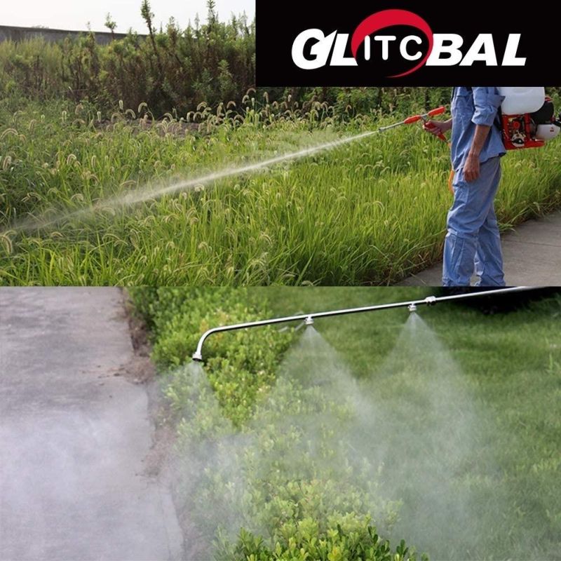 Professional Model-Gasoline/Petrol Garden/Farm Sprayer/Spraying Machine-Power Tools