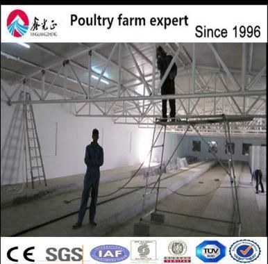 H Type Galvanized Automatic Chicken Equipment for Layers