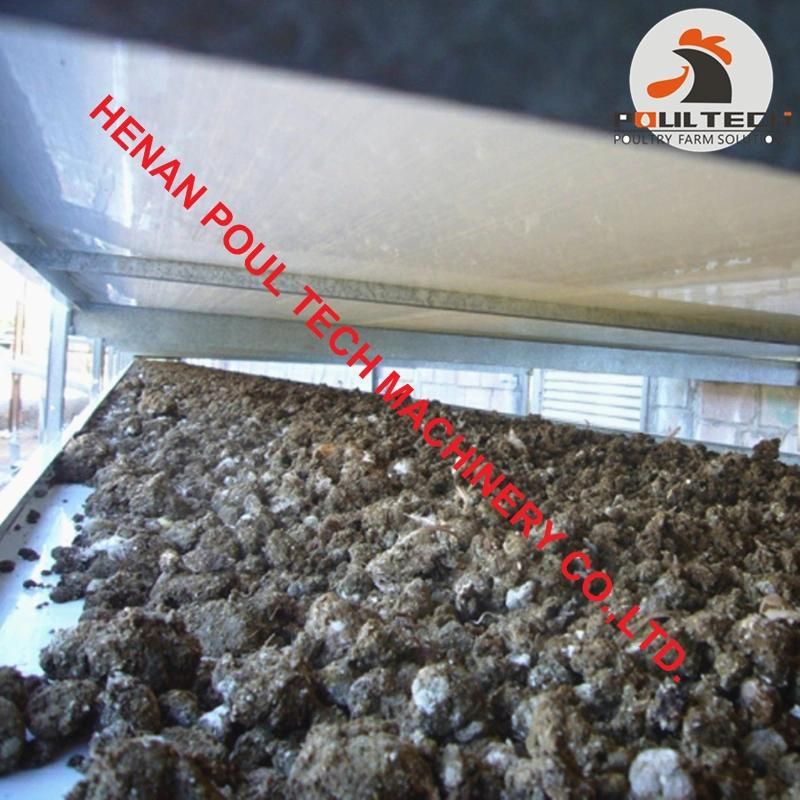 Chicken Manure Treatment - Manure Drying Equipment with 100 Tons Manure/Day