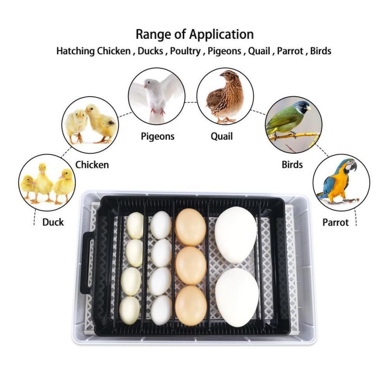 Full Automatic Chicken Egg Incubator 15 Eggs 12V 220V Incubator