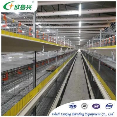 H-Type Stacked Layer Cage for New Livestock Breeding Equipment