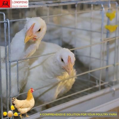 90 Birds, 120birds, 160birds Farming Longfeng China Chicken Layer Battery Equipment Poultry Farm Cage in