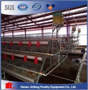 Automatic Chicken Pullet Cage Poultry Equipment