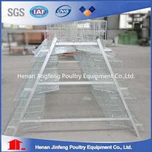 Stainless Steel Galvanized Bird Chicken Layer Cage for Sale