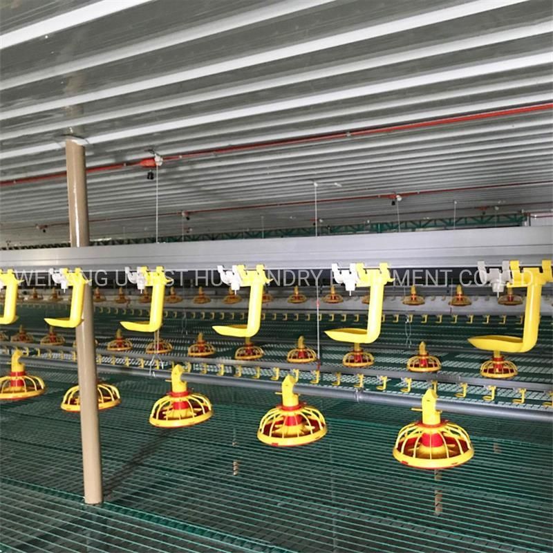 Prefabricated Economical Steel Structure Poultry Farming House Equipment for Broiler Breeder Chicken