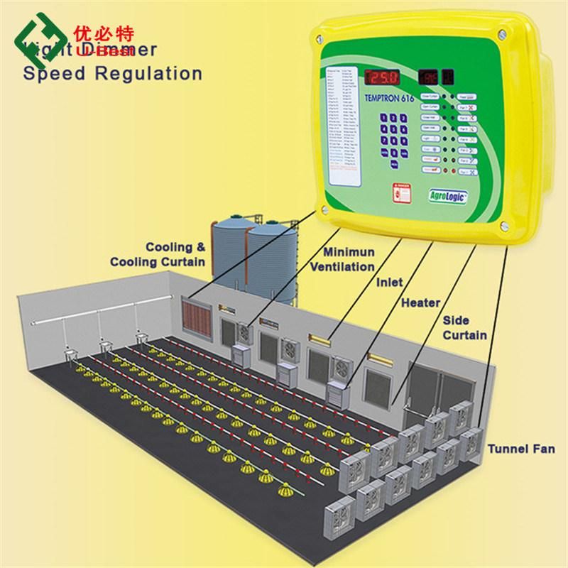 Low Price and High Quality Chicken Farm Equipment Pan Feeding System