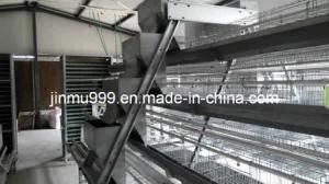 Prefabricated Layer Farm House with Automatic Chicken Cages