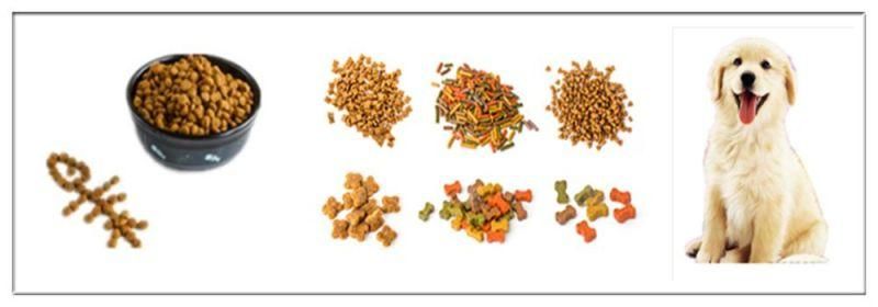 CE Certificated Dog/Cat Food Feed Processing Machine